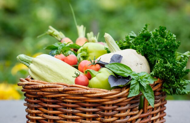 Basket full of Harvest Organic Vegetables and Root in a Garden.