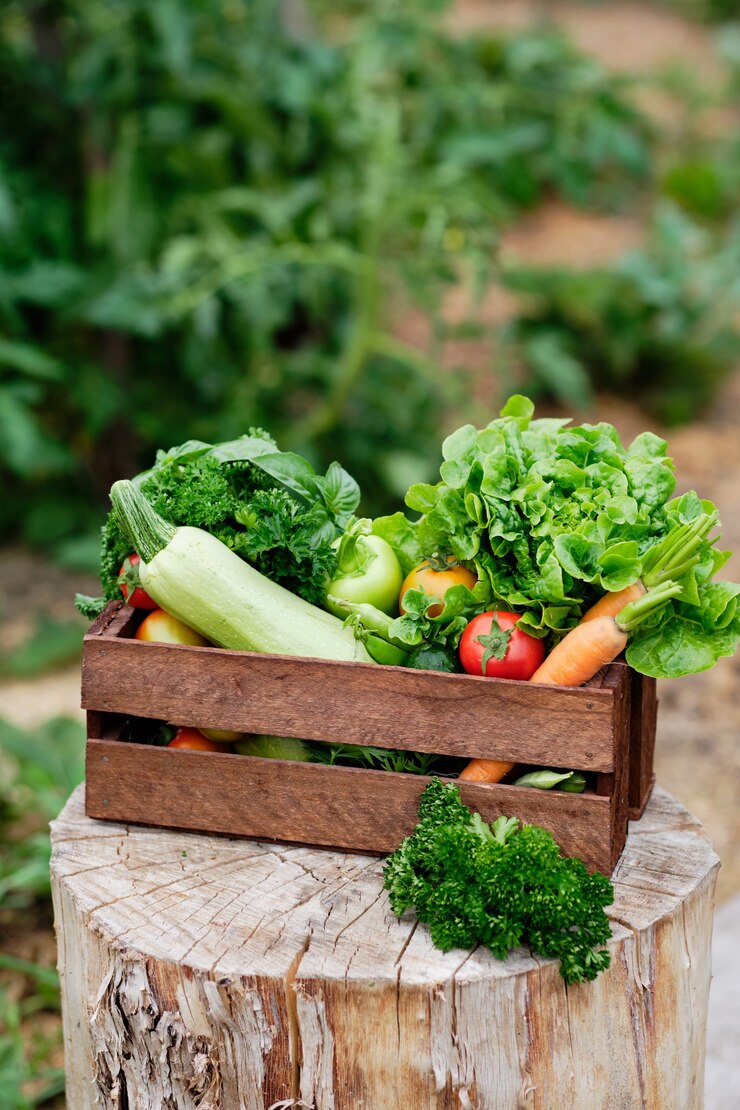 Photo basket full of harvest organic vegetables and root on organic bio farm. autumn vegetable harvest.