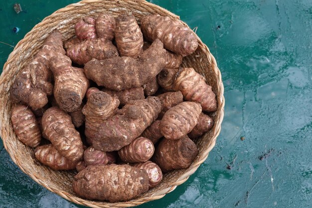 basket full of jerusalem artichokes harvested in the vegetable garden to eat superfood from topinambur