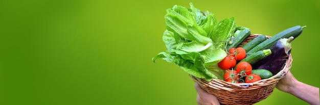 Фото Корзина со свежими овощами, держащая руками человека, изолированного на зеленом фоне с копировальным пространством