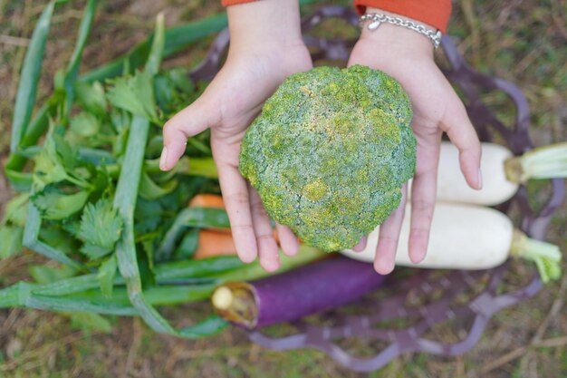 かごに野菜がいっぱい入って、ブロッコリーを1本取ります