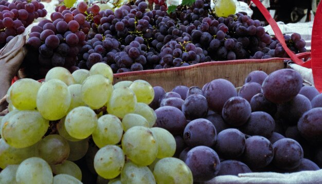 A basket of grapes and plums