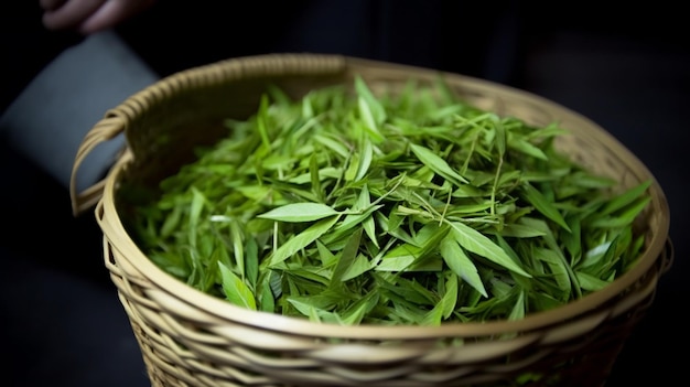 A basket of green leaves sits on a table.