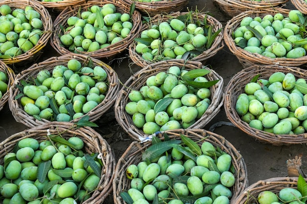 A basket of green mangoes is displayed at a market.