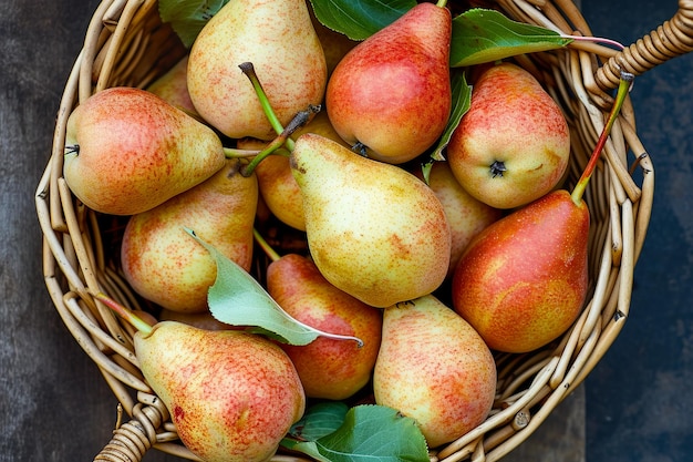 basket of juicy pears with stems still attached