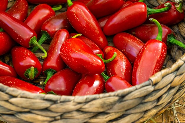 A basket of little red peppers on the market