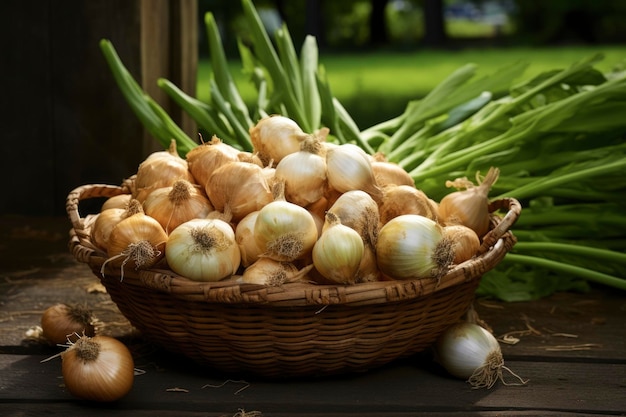 a basket of onions