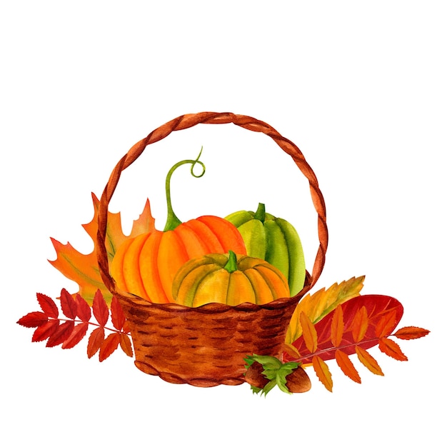 Basket of Pumpkin and autumn leaves clip art watercolor realistic botanical illustration for invitations cards for the autumn holidays Thanksgiving Halloween harvest festival farmers market