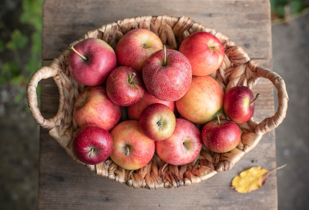 Basket of ripe tasty apples on a garden