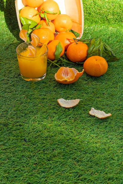 Basket of tangerines or oranges lying on the grass with a glass of juice and mandarin