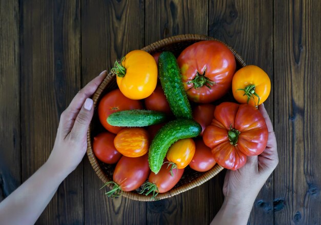 A basket of tomatoes from the farm