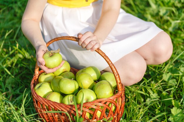 Basket with apples on the grass