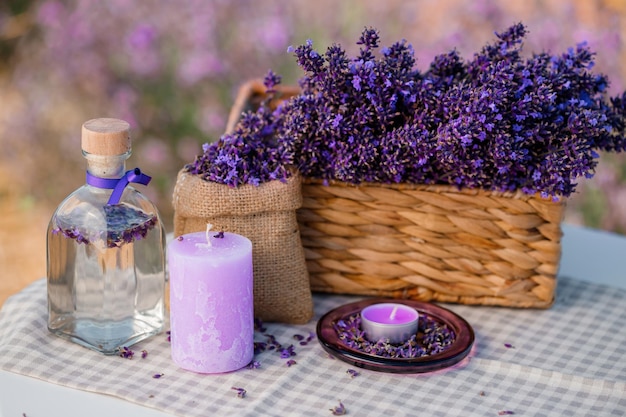 Basket with beautiful lavender in the field in Provance with Lavander water and candles Harvesting season