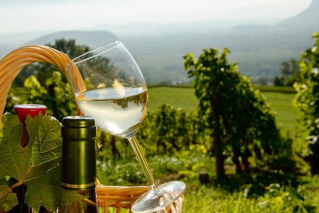 Foto cesto con bottiglie e bicchiere di vino nei vigneti