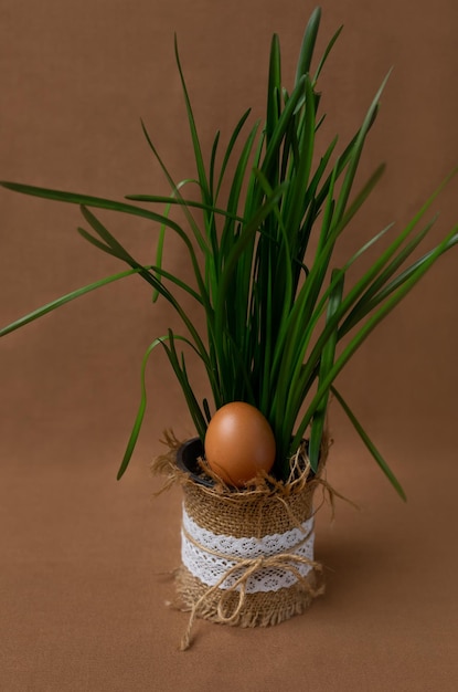 A basket with a brown egg in it and a green grass in it.