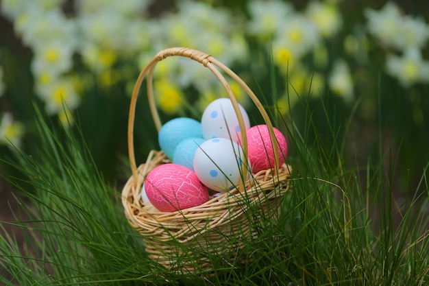 Basket with Easter blue and pink eggs in green grass