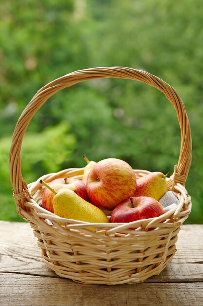 Basket with fresh fruit on green foliage background