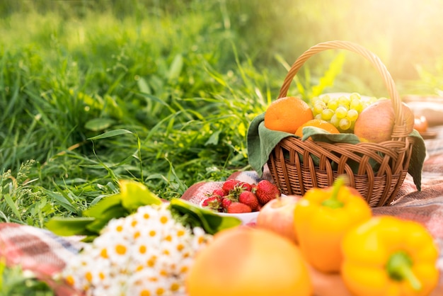 Basket with fruits on blanket during picnic