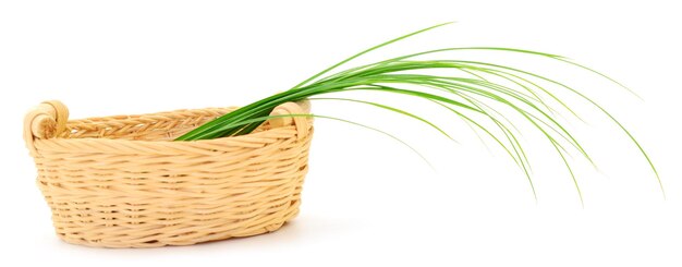 Basket with green grass