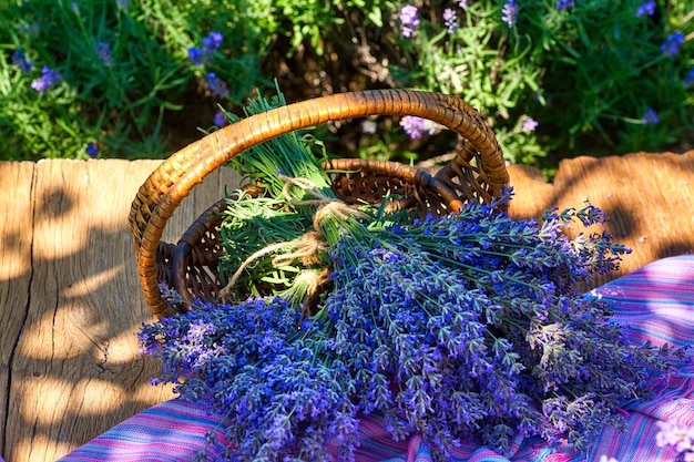 Foto cesto con bouquet di lavanda sul tavolo di legno, sullo sfondo del campo di lavanda lavender