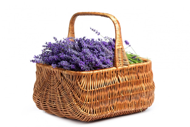 Basket with a lavender, isolated on white background