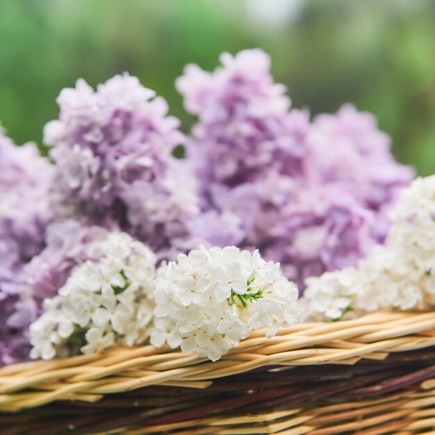 Basket with lilac flowers close-up on a blurred natural background