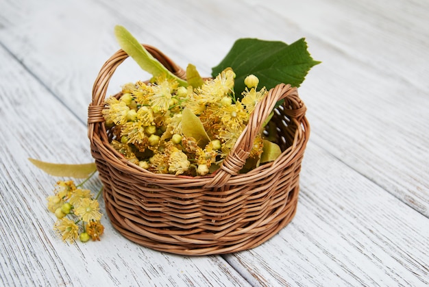 Basket with lime flowers