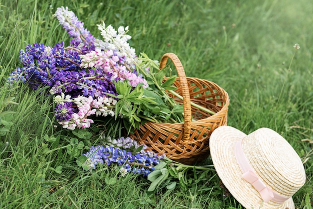 Basket with lupine flowers