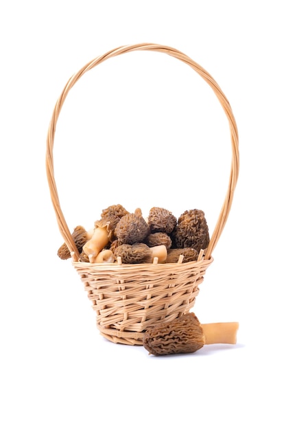 Basket with morel mushrooms vertical photo on a white background