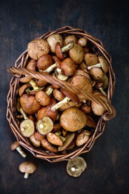 Basket with mushrooms, top view