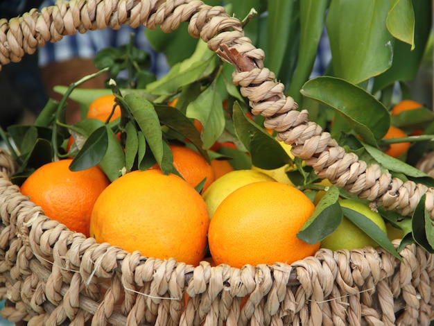 basket with oranges grapefruit and lemons