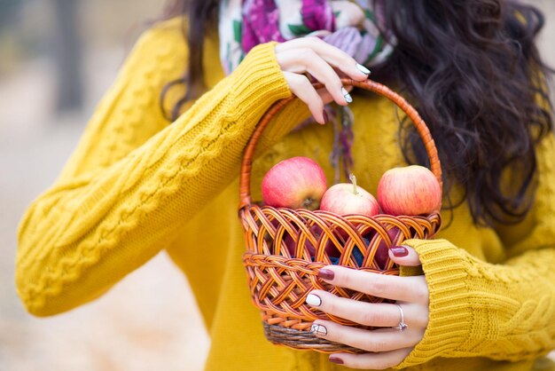 Basket with red apples in hands at sunset field garden Selective focus