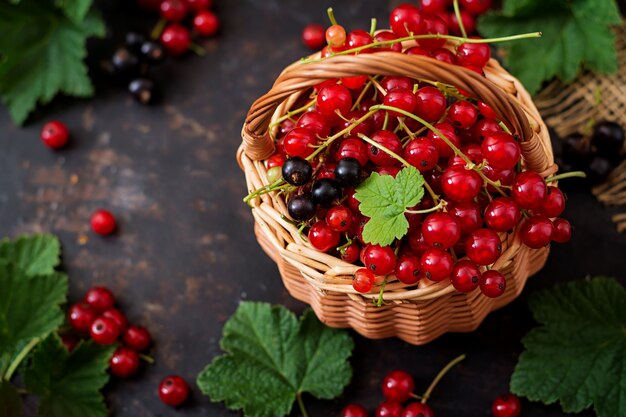 Basket with Red and Black currant with leaves