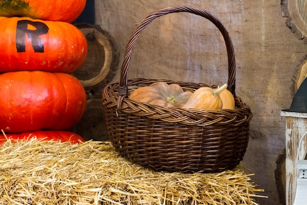 Basket with ripe pumpkins on the hay