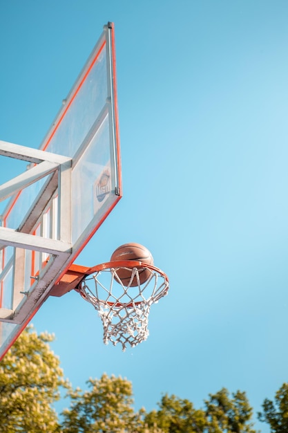 Basketbal bal in net