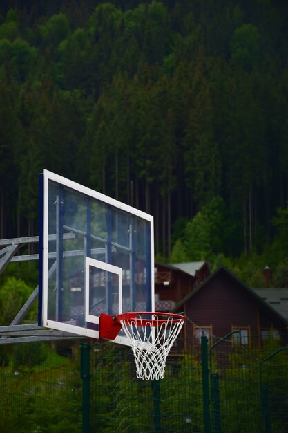 Tabellone da basket e cerchio con rete su sfondo sfocato di case in legno e foresta verde