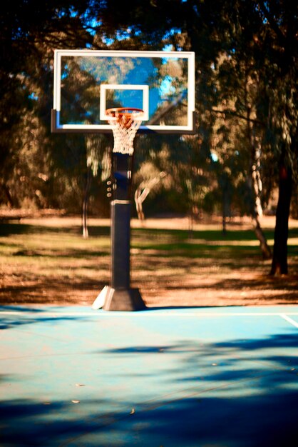 Foto anello da basket contro gli alberi