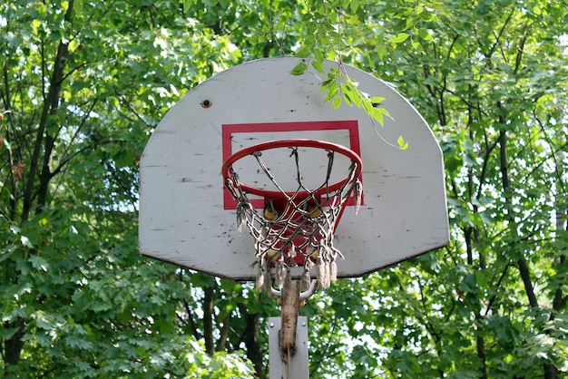 Basketball hoop on the street abandoned old basketball\
hoop