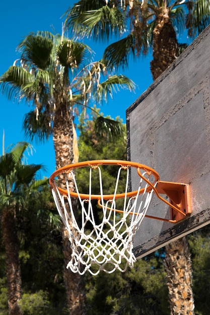 Foto un canestro da basket con dietro delle palme in una scuola.