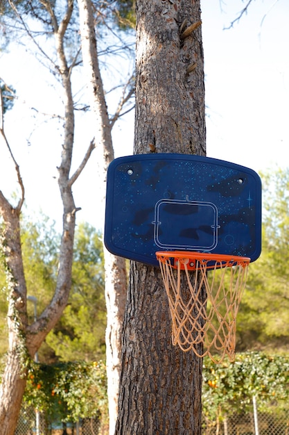 Basketbalring die aan een boom hangt