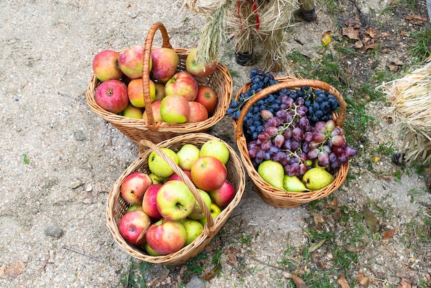 Baskets with apples pears and grapes Baskets with fruit