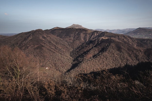 Baskische bergen na een bosbrand. Verbrand bos in februari 2021.