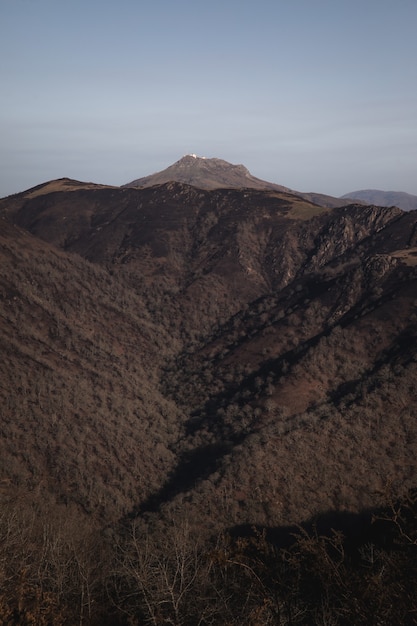 Basque mountains after a wild fire. Burned forest at February 2021.