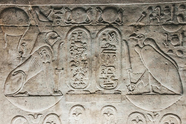 Basreliëfs van de oude tempel van Horus in Edfu, Egypte