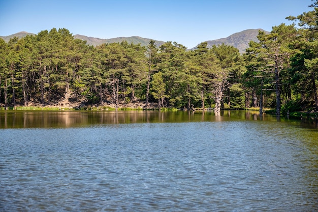 Bassa d'Oles in Vielha Mitg Aran village in the Pyrenees in the Aran Valley Spain Place with lake