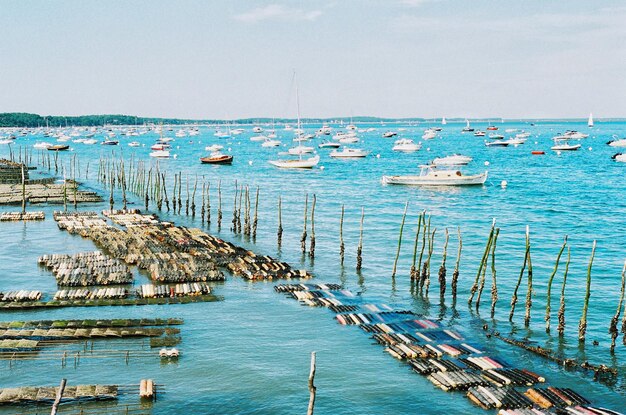 Photo bassin arcachon