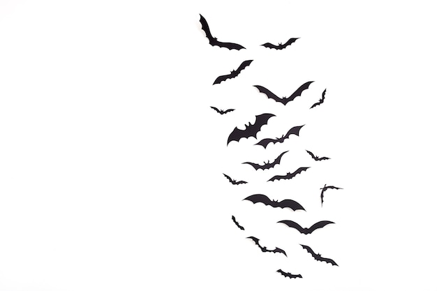Photo bat paper decoration halloween