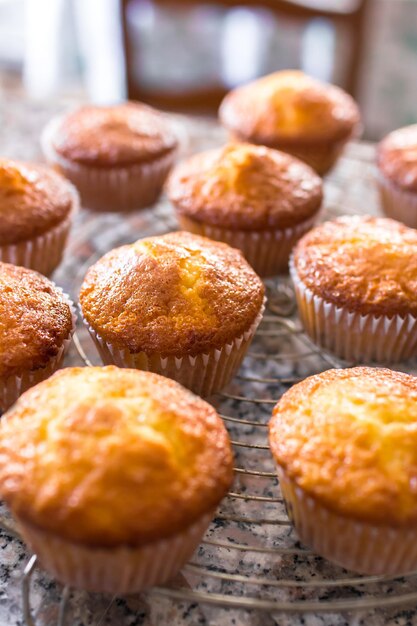 Batch of homemade freshly baked muffins