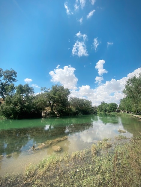 Zorita de los Canes River Park Guadalajara의 Tagus 강 목욕 공간