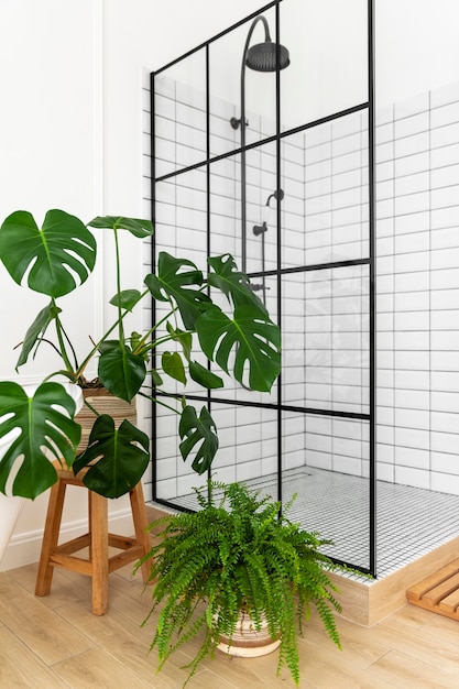 Foto interior design del bagno con pianta monstera